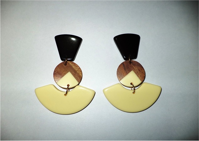 Resin and Wood Earrings Resin and Wood Earrings